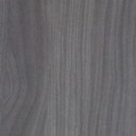 horn-gray