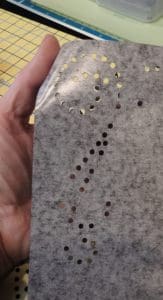 Put a Little Bling on Your Embroidery. The Brother Rhinestone Kit, Part 2. 49 Photo of adhesive side of template sheet with holes cut out for rhinestones.