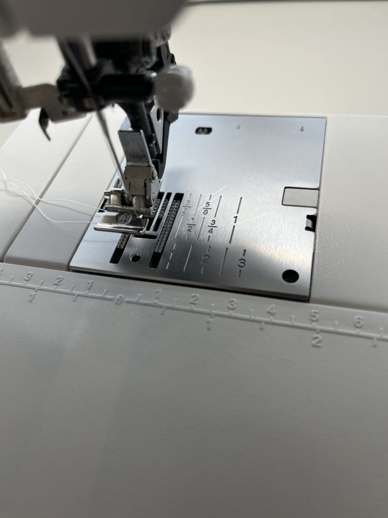 The Zipper Foot: The Unsung Hero 2 IMG 0424 768x1024 1