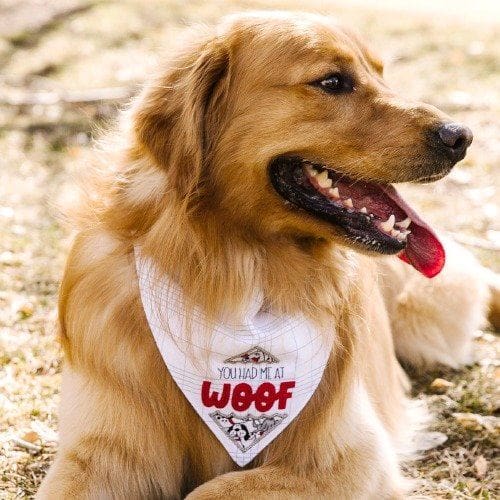 Kimberbell Events and Clubs 8 Kimberbell Fill in the Blanks