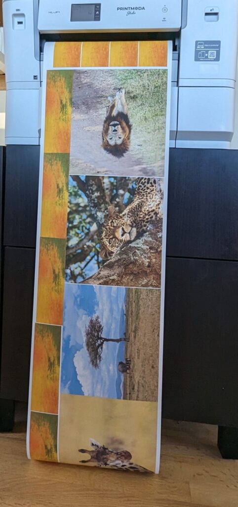 54" printout from PrintModa combining images to maximize use of fabric.
