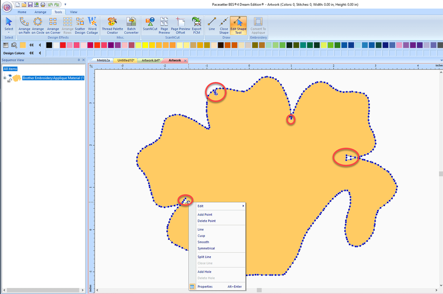 Applique showing areas of extraneous points that need to be deleted
