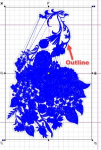 outline created around peacock