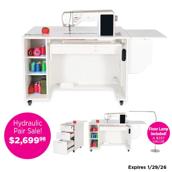 Kangaroo Melbourne & Adelaide